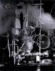 Krajcberg 7