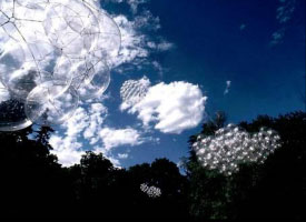 Saraceno---cloud