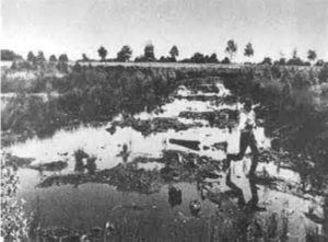 beuys---bog